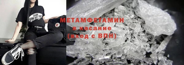 ГАЛЛЮЦИНОГЕННЫЕ ГРИБЫ Козловка