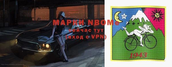 ГАЛЛЮЦИНОГЕННЫЕ ГРИБЫ Козловка