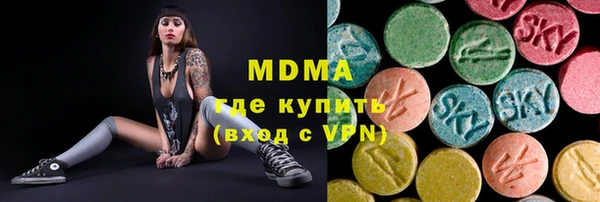 ГАЛЛЮЦИНОГЕННЫЕ ГРИБЫ Козловка