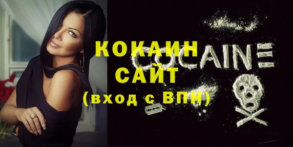 ГАЛЛЮЦИНОГЕННЫЕ ГРИБЫ Козловка