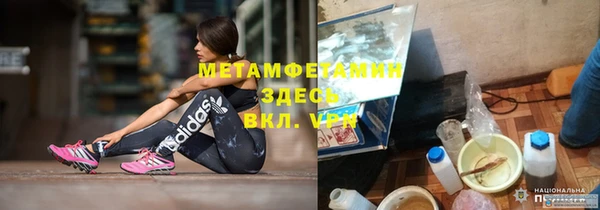 ГАЛЛЮЦИНОГЕННЫЕ ГРИБЫ Козловка