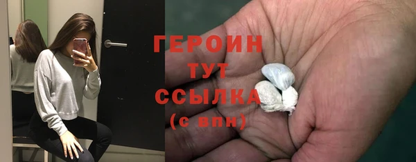 ГАЛЛЮЦИНОГЕННЫЕ ГРИБЫ Козловка