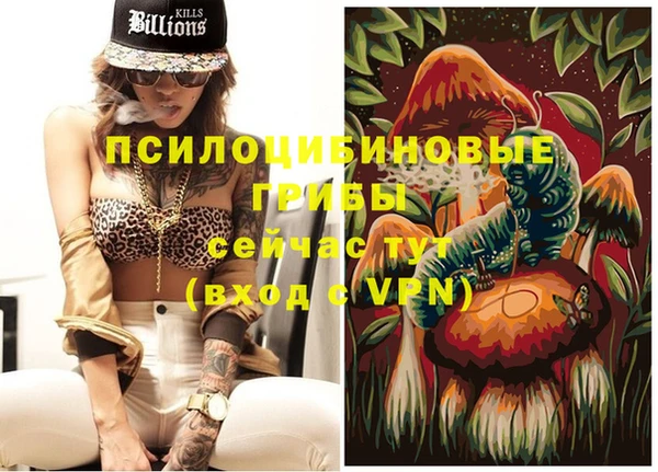 ГАЛЛЮЦИНОГЕННЫЕ ГРИБЫ Козловка