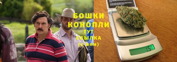 ГАЛЛЮЦИНОГЕННЫЕ ГРИБЫ Козловка