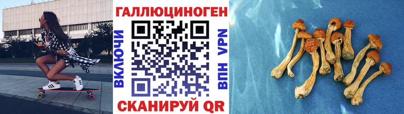 Купить закладки  Пересвет  Псилоцибиновые грибы MAGIC MUSHROOMS 
